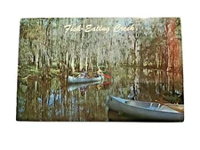 Fish Eating Creek Canoeing Cypress Kneeland Palmdale FL Postcard Unposted