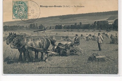 BLANGY-sur-BRESLE: Die Ernte - sehr guter Zustand