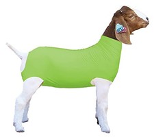 Show Pro Neon Green Spandex Goat Tube for Show Goats Large - Made in USA