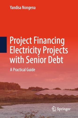Springer Project Financing Electricity Projects With Senior Debt - Image 4