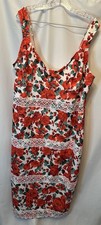 NWT ASOS Design Curve Size 22 Floral Lace Sheath Dress Pink Red Green White