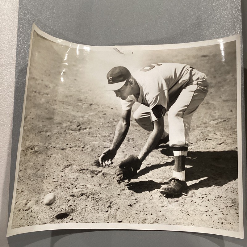 Williams In Action Catch Fielding Position Syracuse Chiefs Vintage Photo