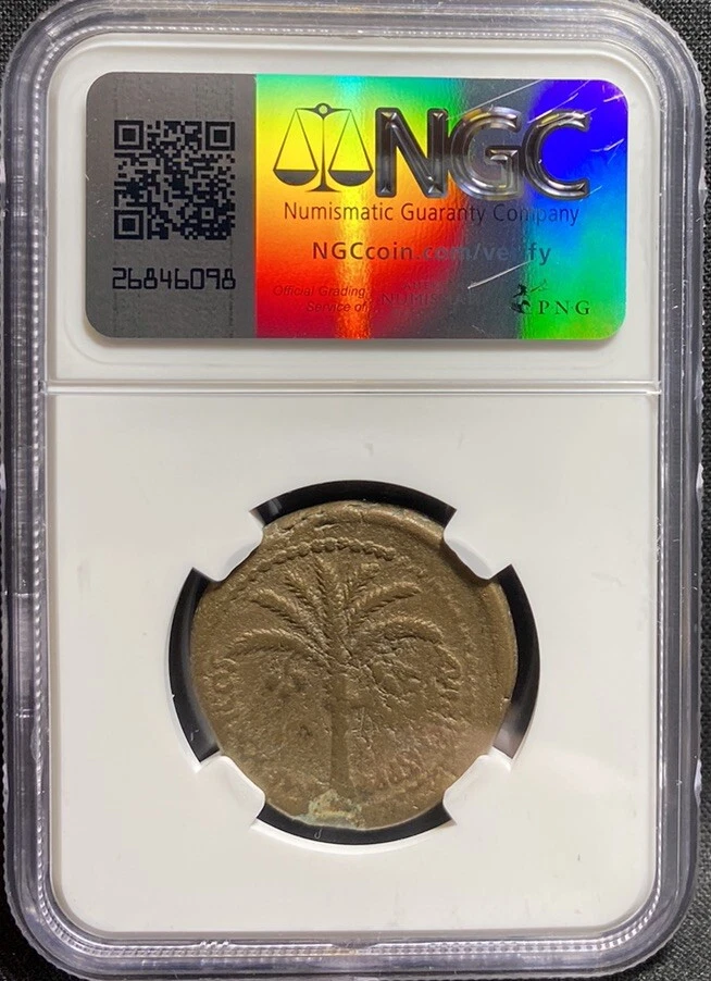 JUDAEA Domitian 81-96 AD, 5/5 AE 28 HUGE Caesarea Roman Empire Capta Coin, NGC F - Image 4 of 4