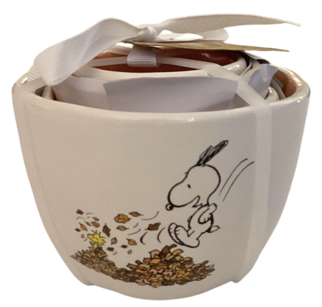 Peanuts RAE DUNN Set of 4 Snoopy, Woodstock & Charlie Brown Fall Measuring Cups