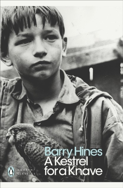 A Kestrel for a Knave by Barry Hines (Paperback Book)