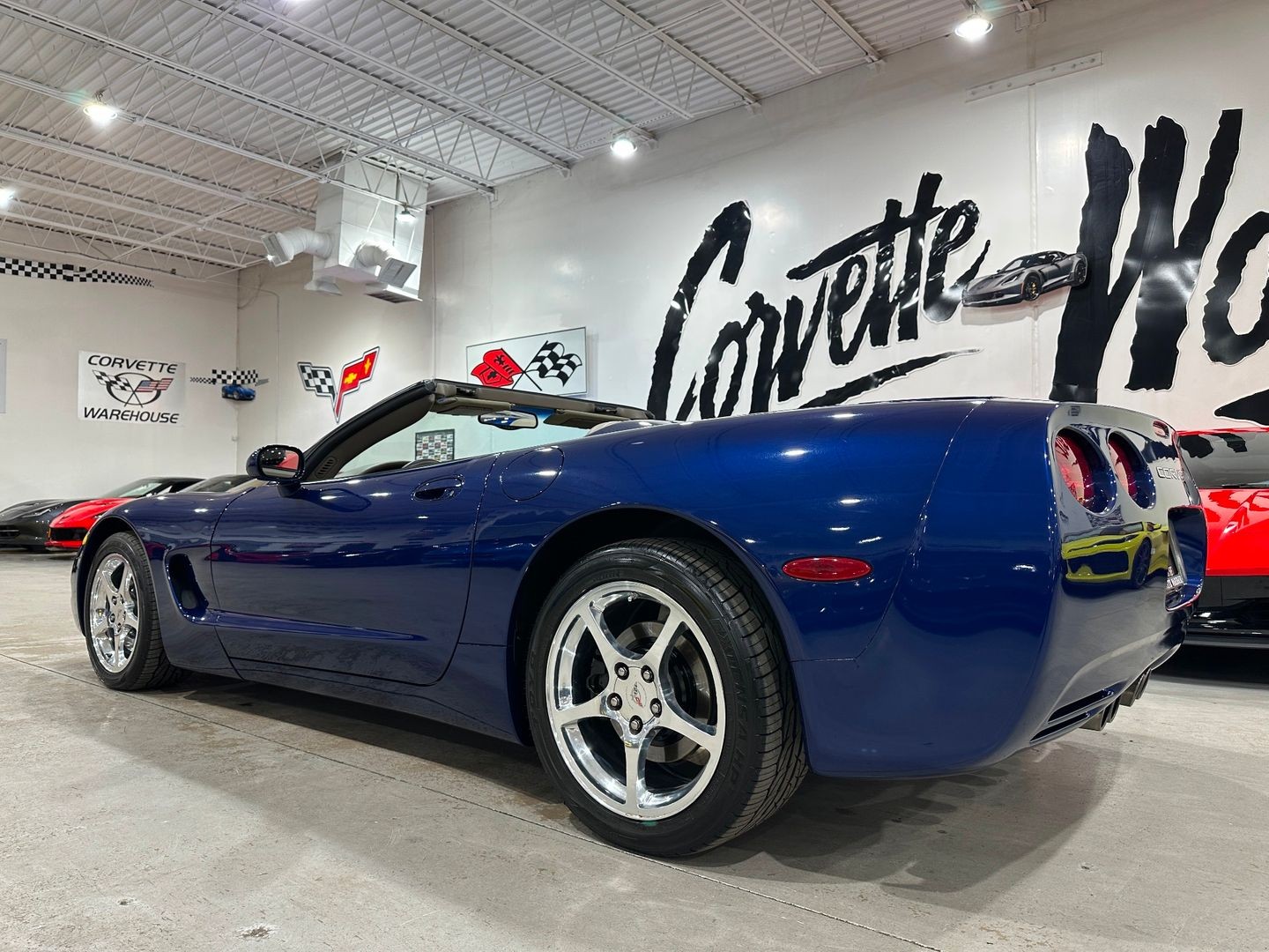 2004 [19U] LeMans Blue Chevrolet Corvette   | C5 Corvette Photo 4