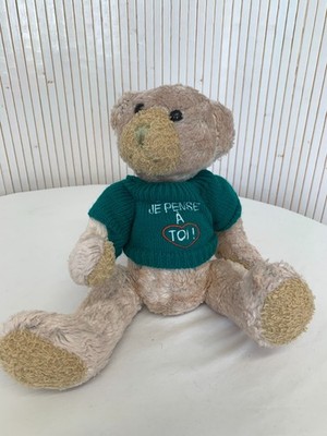 Plush Bear I Think of You Green Teddy Bear Sweater POU080