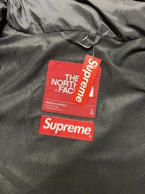 FW16 Supreme The North Face Mountain Light Jacket Size L LARGE TNF