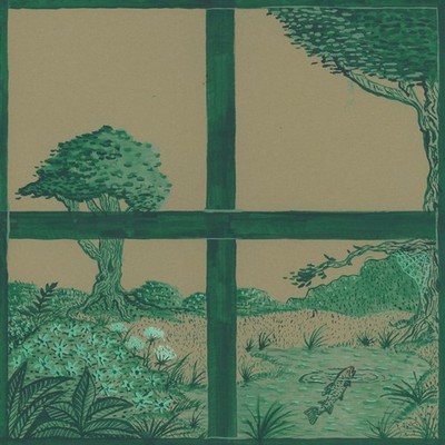 Dirty Projectors and David Longstreth and Stargaze Song of the Earth LP Vinyl