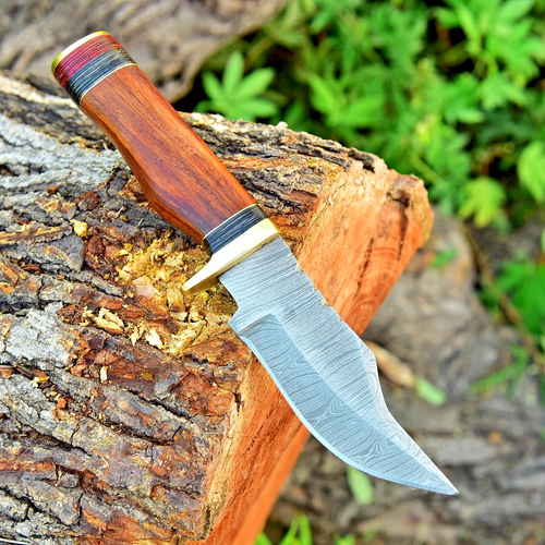 8"EDC  HANDMADE DAMASCUS KNIFE HUNTING SKINNING KNIFE WOOD HANDLE BRASS GUARD - Picture 1 of 6