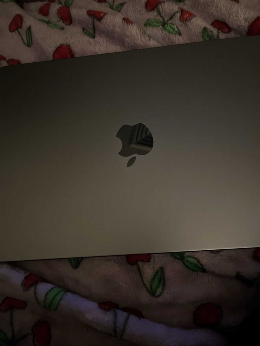 Apple MacBook Pro 14 in 2023 Space Gray/Apple M3 4.05 GHz