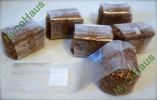 12 LBS rye grain mushroom grow kit use with spores to grow edible mushrooms 