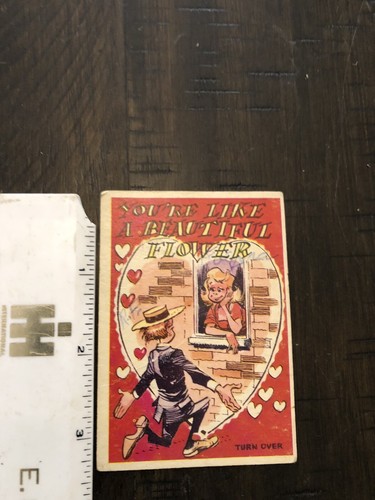 Vintage Valentine Your Like A Beautiful Flower Surrounded by Dirt Funny Humor - Imagen 3 de 4