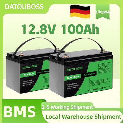 2PCS 12V 100Ah LiFePO4 Lithium Batterie 6000+ Zyklen 100Ah Akku BMS Wohnmobil RV