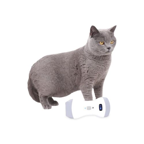 Veterinary Color Doppler Wireless Ultrasound Scanner Laptop Machine 3 in 1 probe - Picture 3 of 16