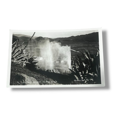 #ad Postcard RPPC A Calistoga Geyser in the Wind California D696 $5.99