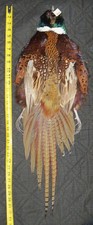 Rooster Ringneck Pheasant Neck Cape Fly Tying...