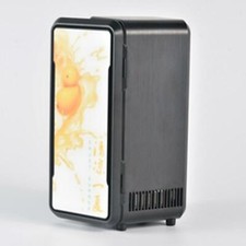 Compact Mini Fridge Coffee Water Milk Cooler and Warmer for Car Home Office