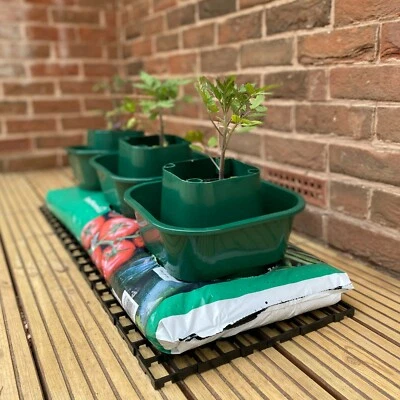 SELECTIONS 3 x Grow Bag Watering Pots Tomato Ring Culture Bottomless Planter Growbag Grow