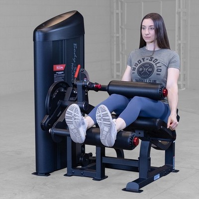 Body-Solid Pro ClubLine Series 2 Leg Curl and Extension 160 lb. Weight Stack