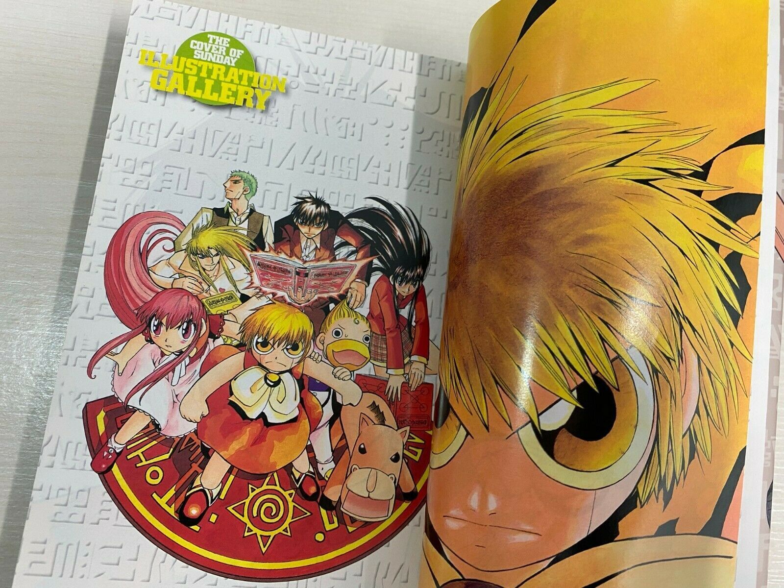 CDJapan : Zatch Bell! (Konjiki no Gash!!) [Complete Edition] 8 Makoto Raiku  BOOK