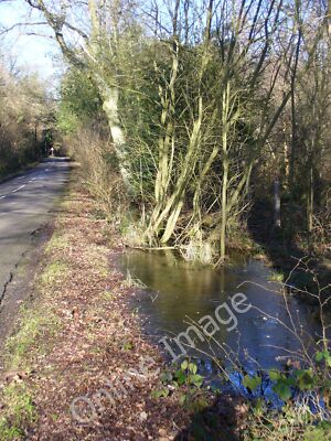 Photo 6x4 Attleford Lane Peper Harow Wooded lane leading from Elstead to  c2010