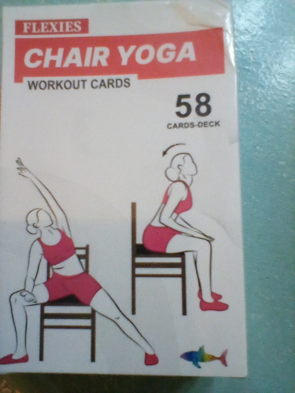 Flexies Chair Yoga Workouts -58 Exercise Cards NEW Sealed