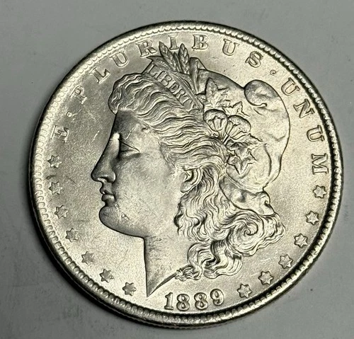 BU 1889-P Morgan Silver Dollar (all original!), U.S. $1 Coin Mint State MS