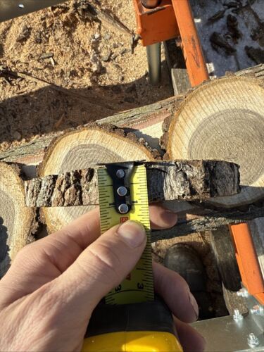 Black Walnut Live Edge Round Slice Slab Cookie Unfinished Wood, Decorative 2 Pac - Picture 4 of 4