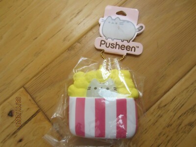 pusheen popcorn