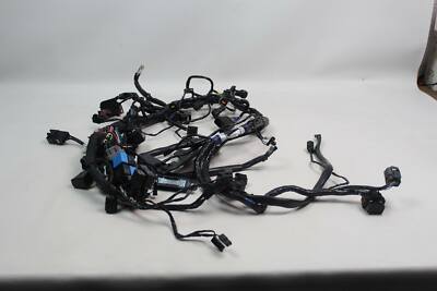 Triumph Speed Triple 1050 RS 18-20 Main Wiring Harness Loom