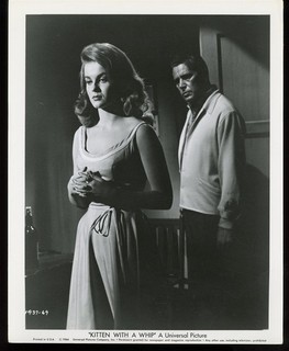 ANN MARGRET in KITTEN WITH a WHIP Original 1964 Sexy 8 x 10 Glamour Still vv