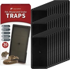 LULUCATCH Super Glue Traps 36 Pack for Mice & Snakes, Larger, 36 Pack, Black 