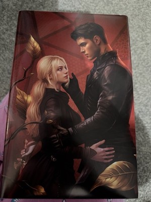 The Dagger And The Flame Fairyloot Hardcover Special Edition Catherine Doyle