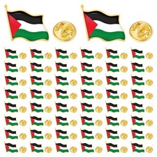 50 Pcs Metal Palestine Flag Lapel Pins Bulk Palestinian National 50