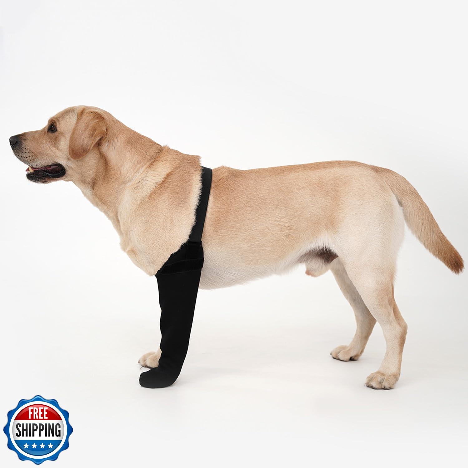 SAOLA yrenoer Calze di Recupero per Cani Protezioni Zampe Impermeabili con Suola Antiscivolo P