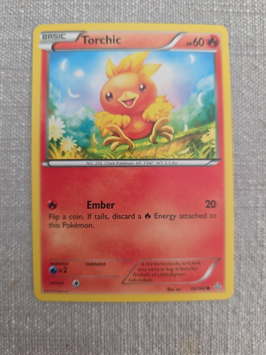 Torchic 25/160 Common Pokemon Primal Clash 