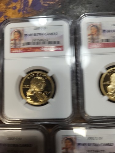 2001-2007 Sacagawea Dollars - Picture 4 of 13