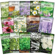 - Large Medicinal Herb Seed Collection for Planting - Chamomile, Echinacea, L...