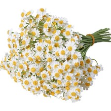 Small White Daisy Flowers Artificial Fake Daisies Wildflowers 36 PCS Set