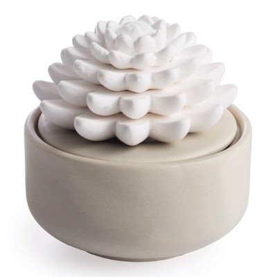 Airomé White Succulent, Porcelain Passive Essential Oil Diffuser (w... Fast