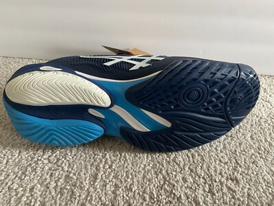 NOVAK DJOKOVIC SIGNED ASICS COURT FF3 10.5 SHOES WIMBLEDON PARIS