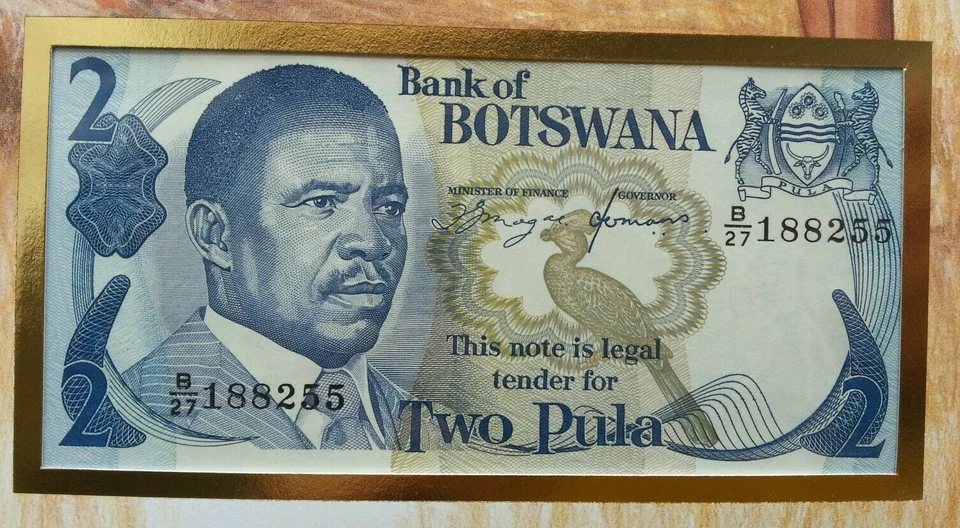 [SJ] Botswana Daily Life 1992 Leopard Cheetah Village FDC (banknote cover) - Image 2 of 4