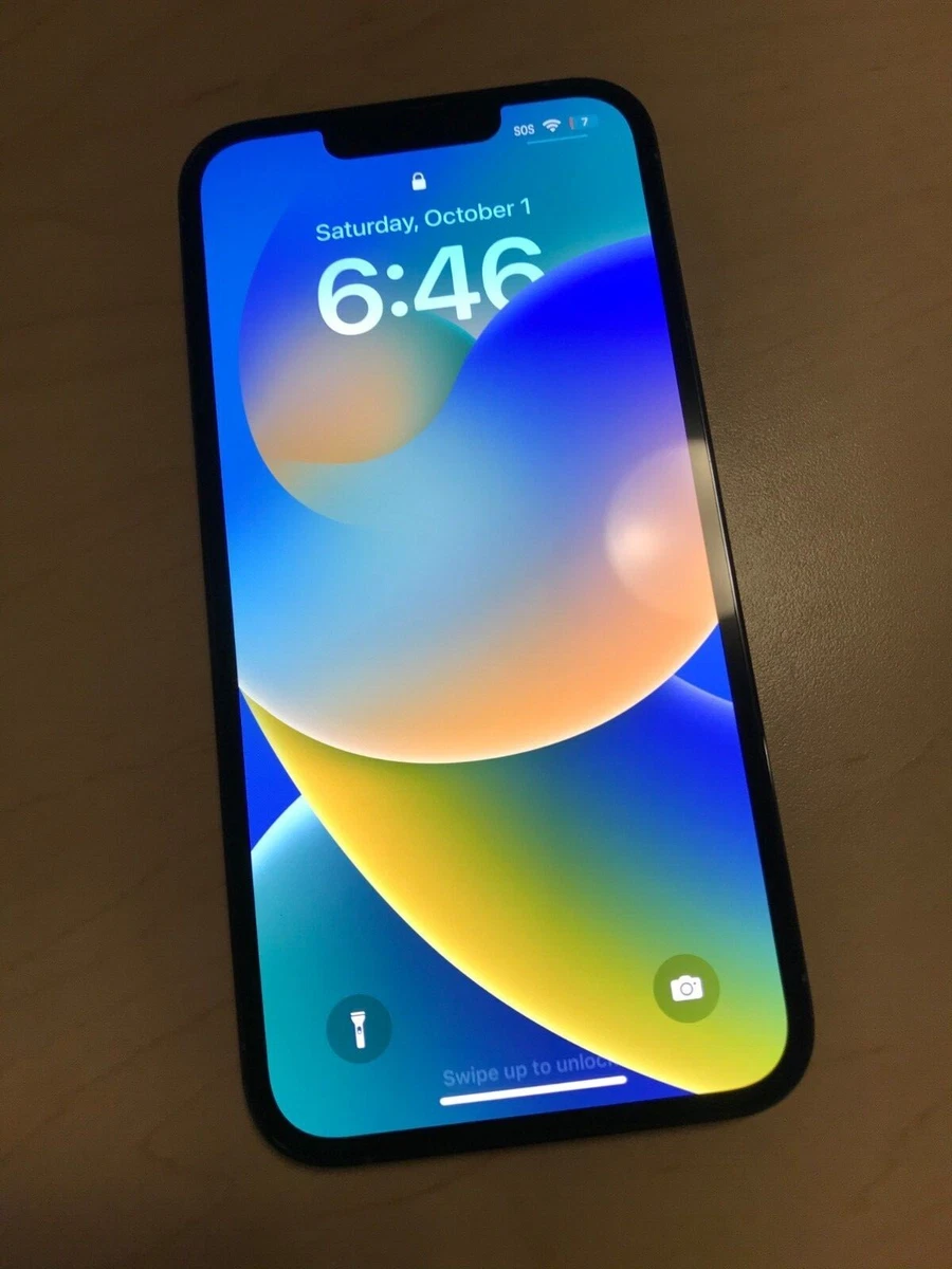 【Excellent condition】Apple iPhone 13 Pro - 256GB - Sierra Blue UNLOCKED