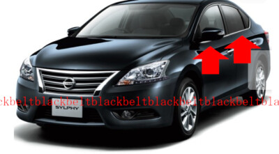 Nissan Genuine SYLPHY B17 Molding Weather Strip Front Rear Door Belt 80820-3SB0A