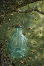 Glass Wasp Trap Small Hanging Honey Pot Outdoor & Fly Catcher For Flies Insects