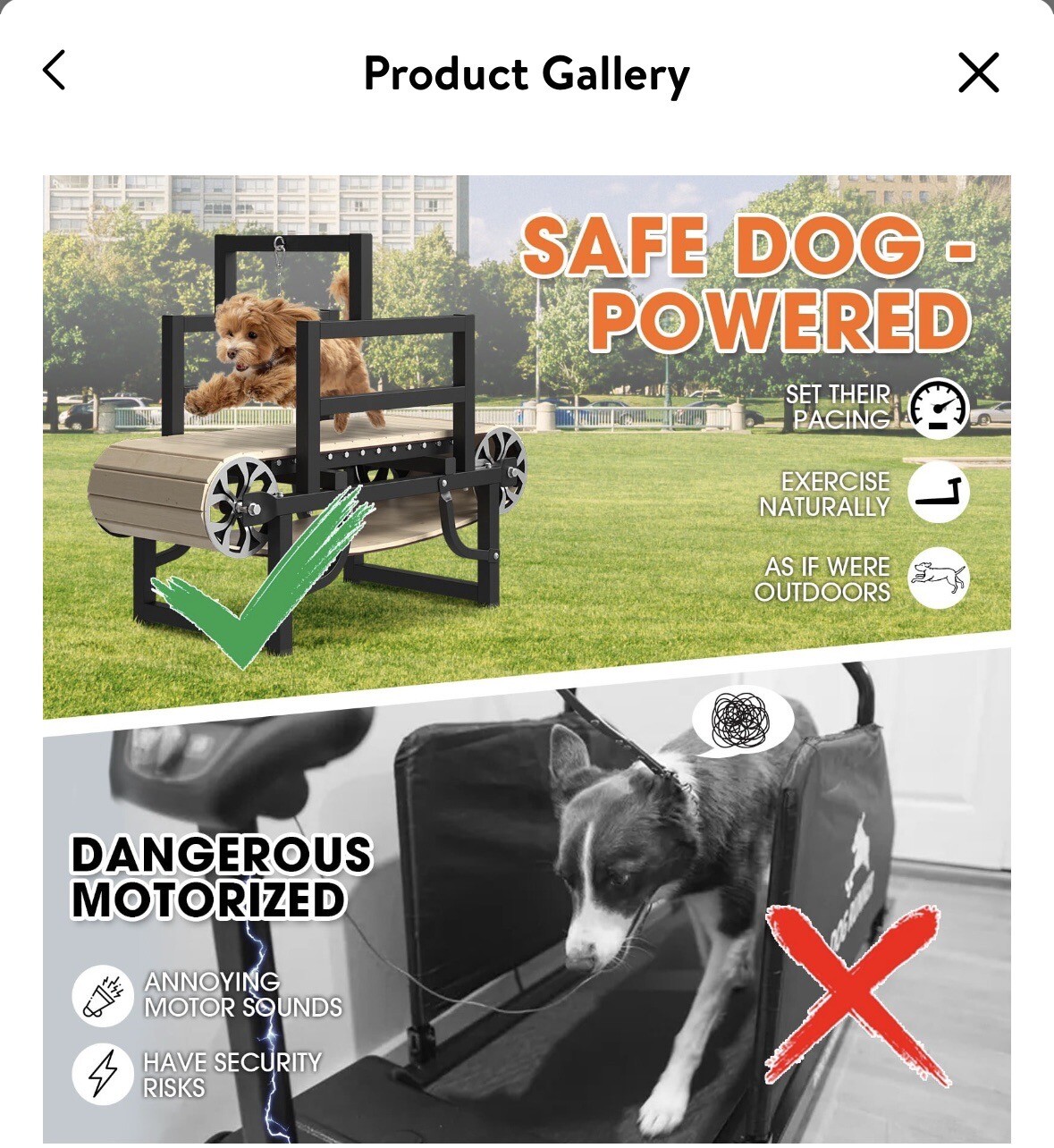 Dog Treadmill (Slatmill) eBay