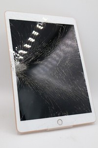 Apple iPad 7. Gen 2019 10,2 WiFi 32GB A2197 Rosé Gold Displayschaden M1071