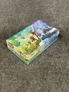 mtg lorwyn booster box Amazon.com: Magic: the Gathering Lorwyn Eclipsed - Play Booster Box