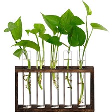 XXXFLOWER Plant Propagation Station,Plant 5 Glass Tubes Vases, Clear
